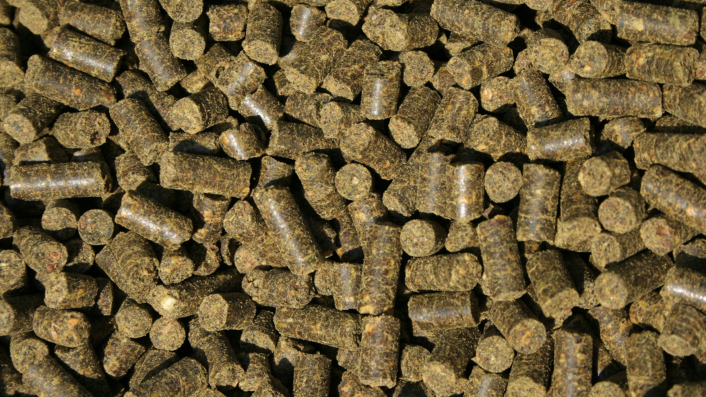 Feed Pellets