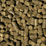 Feed Pellets