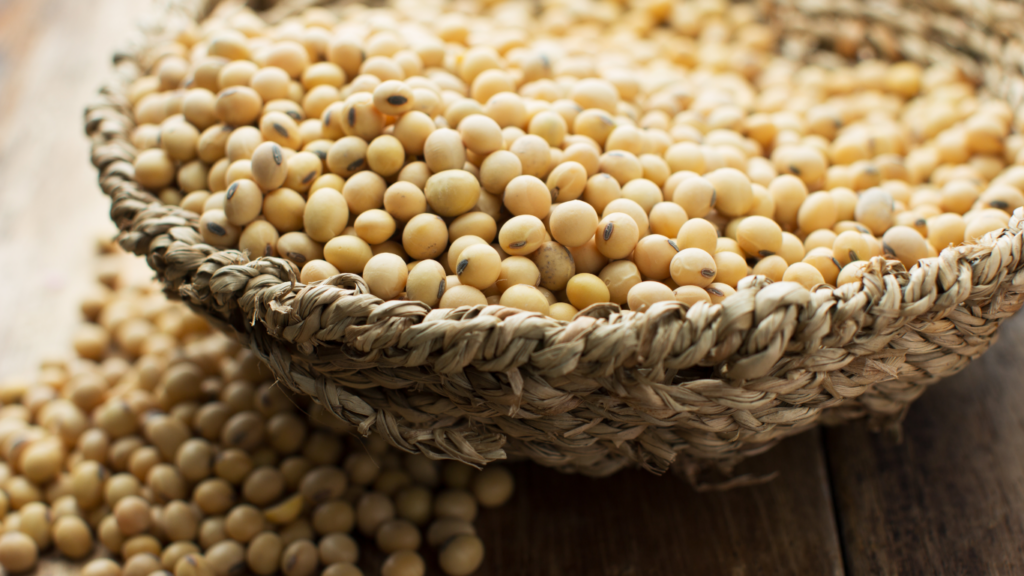 Soya Beans