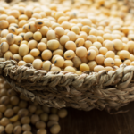 Soya Beans