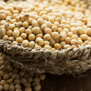 Soya Beans
